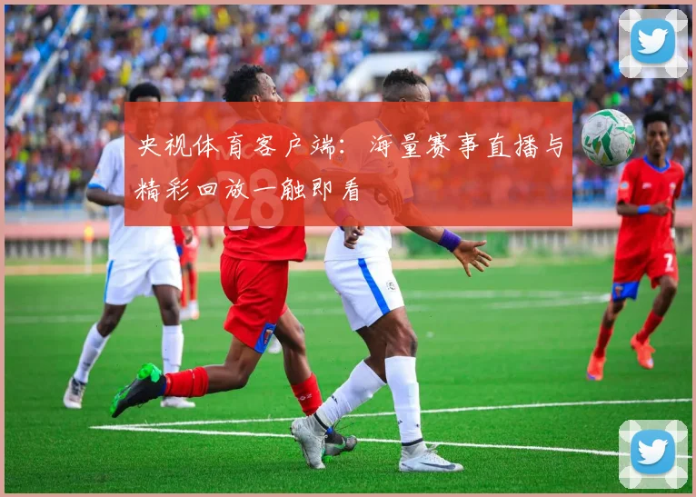 央视体育客户端：海量赛事直播与精彩回放一触即看