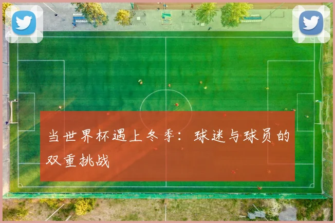 当世界杯遇上冬季：球迷与球员的双重挑战