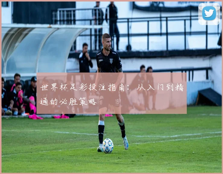 世界杯足彩投注指南：从入门到精通的必胜策略