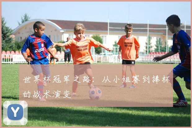 世界杯冠军之路：从小组赛到捧杯的战术演变