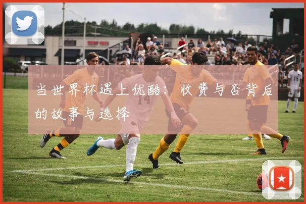 当世界杯遇上优酷：收费与否背后的故事与选择