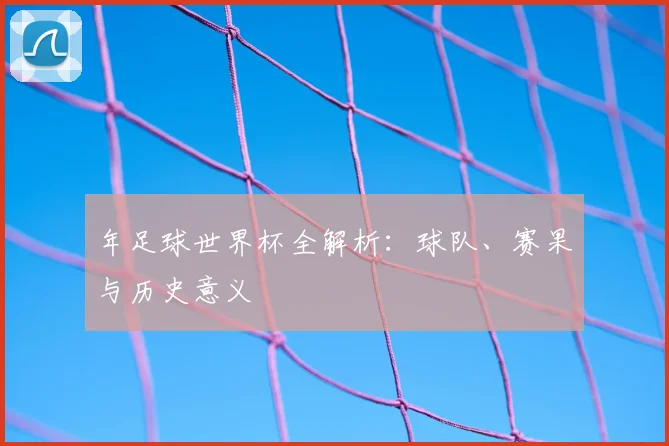 年足球世界杯全解析：球队、赛果与历史意义